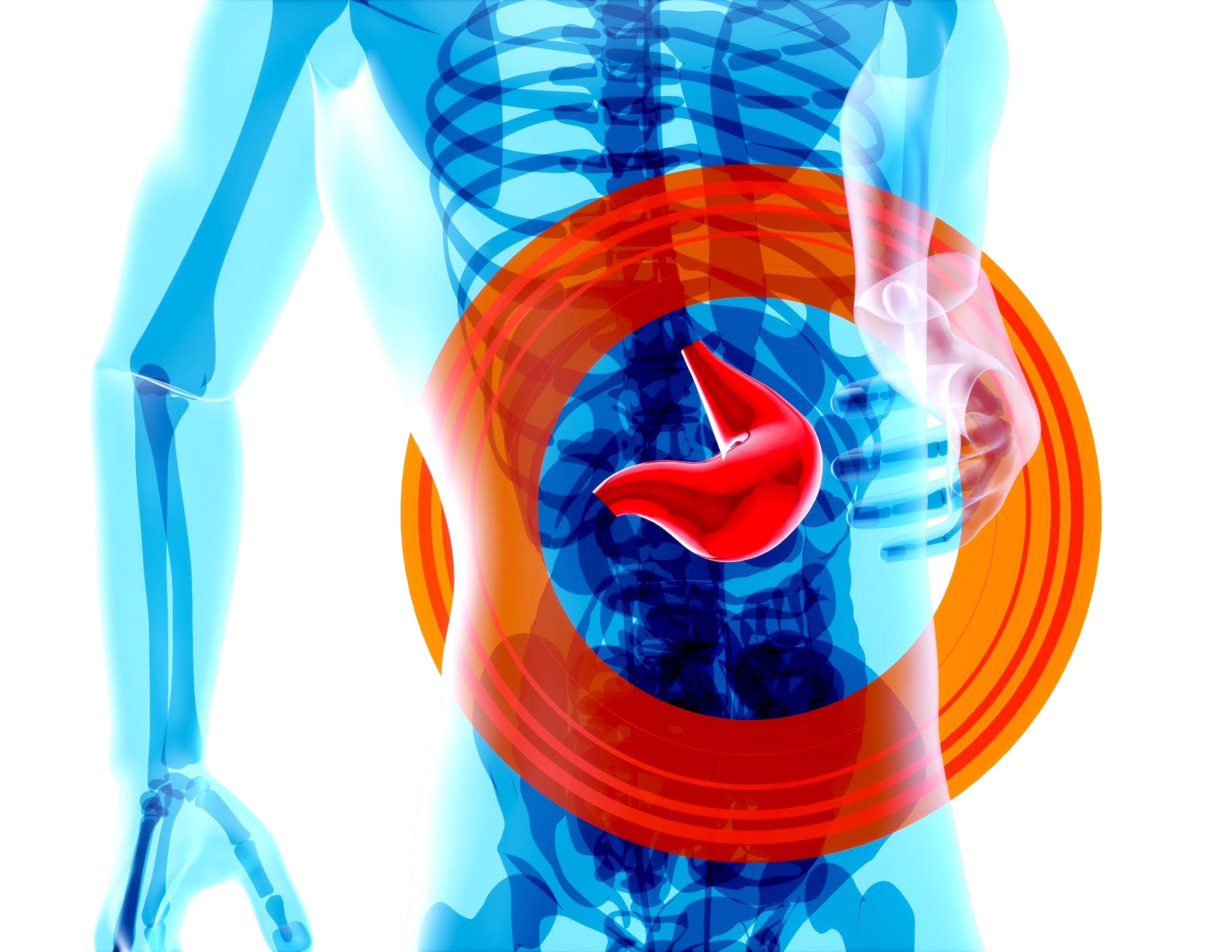Stomach shown in body having red glow